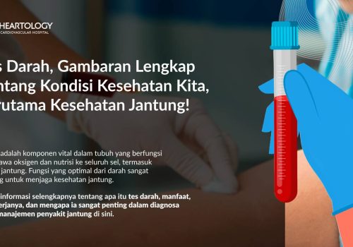 Tes Darah: Manfaat, Cara Kerja, Jenis, dan Interpretasi Hasilnya