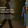 Mengenal Iskemia: Penyebab, Gejala, dan Cara Mencegah Kerusakan Organ