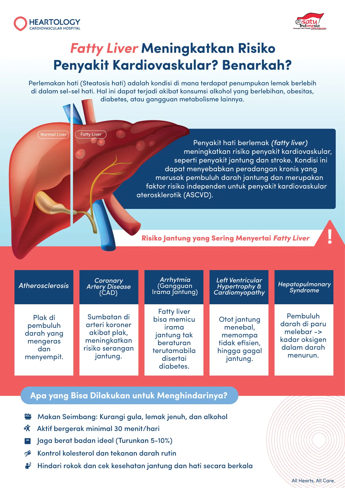 Infografis Heartology Cardiovascular Hospital tentang fatty liver dan risiko penyakit kardiovaskular. Menampilkan ilustrasi hati normal dan hati berlemak, penjelasan bagaimana fatty liver memicu peradangan pembuluh darah yang meningkatkan risiko penyakit jantung, serta daftar risiko seperti aterosklerosis, coronary artery disease, aritmia, dan kardiomiopati. Disertakan juga tips pencegahan: makan seimbang, aktif bergerak, jaga berat badan ideal, kontrol kolesterol dan tekanan darah, serta hindari rokok dan alkohol.