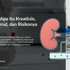 Mengenal Apa itu Kreatinin, Kadar Normal, dan Risikonya Jika Tinggi