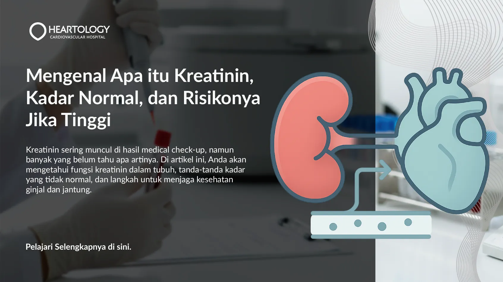 Mengenal Apa itu Kreatinin, Kadar Normal, dan Risikonya Jika Tinggi
