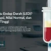 Apa itu Laju Endap Darah (LED)? Kenali Fungsi, Nilai Normal, dan Penyebab Tinggi
