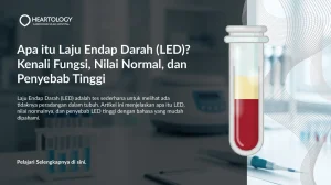 Apa itu Laju Endap Darah (LED)? Kenali Fungsi, Nilai Normal, dan Penyebab Tinggi