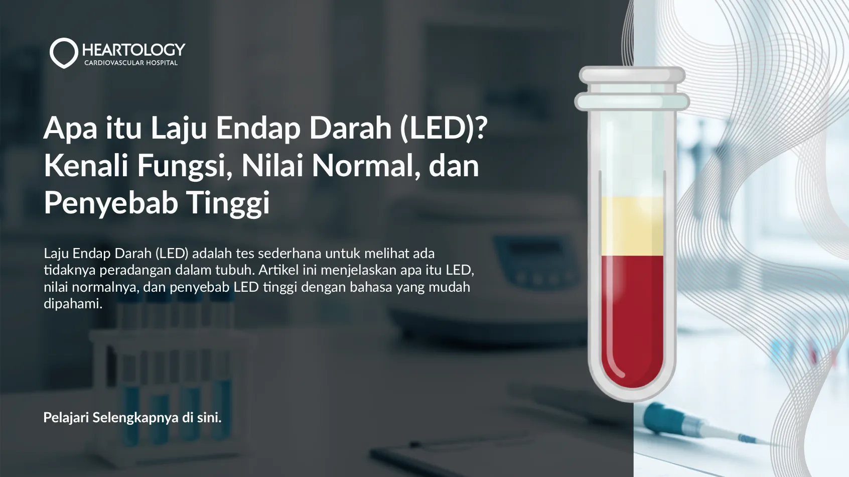 Apa itu Laju Endap Darah (LED)? Kenali Fungsi, Nilai Normal, dan Penyebab Tinggi