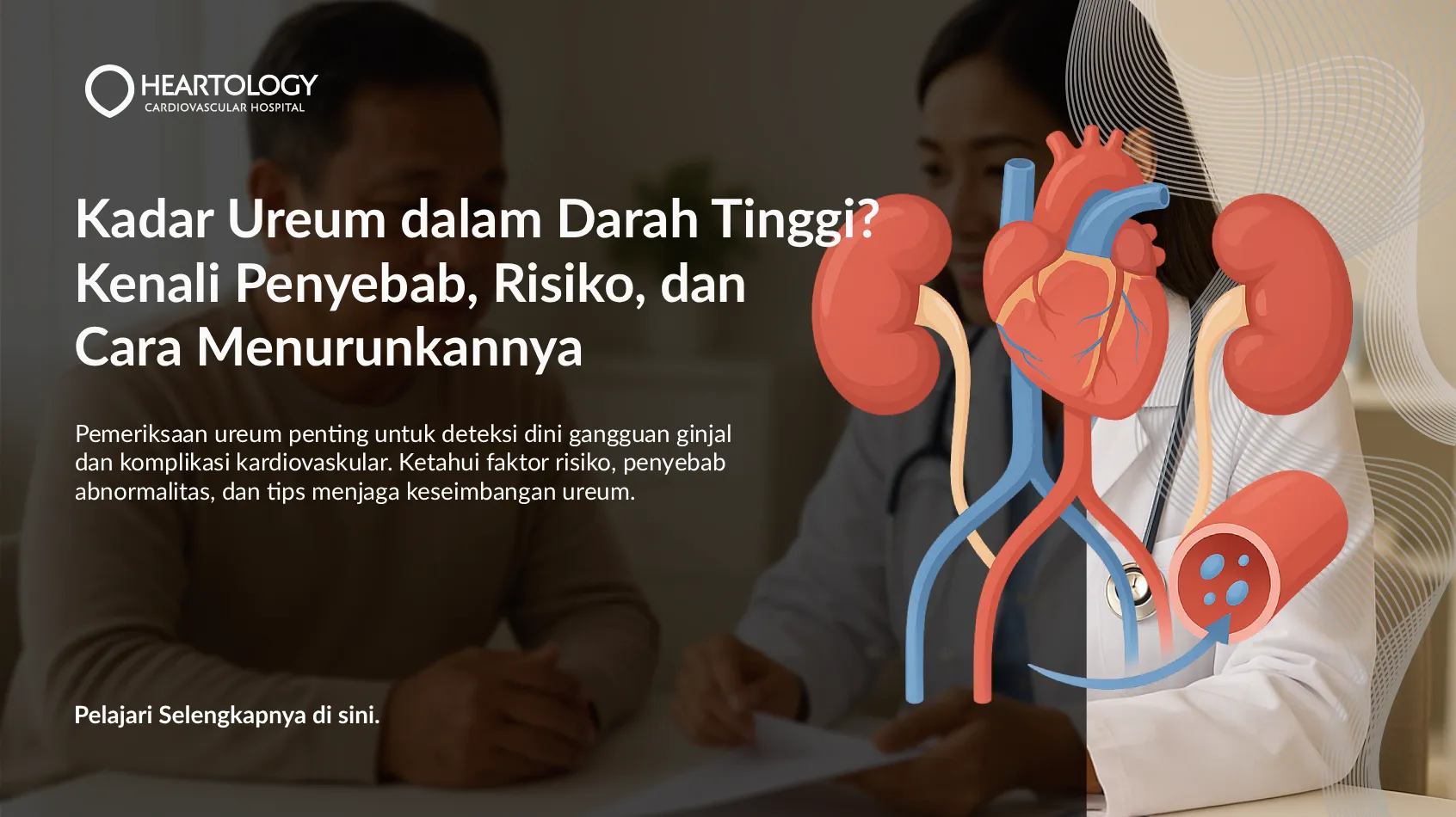 Ureum Tinggi? Kenali Penyebab, Risiko, dan Cara Menurunkannya