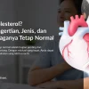 Apa itu Kolesterol? Kenali Perannya, Jenis, dan Cara Menjaganya Tetap Normal