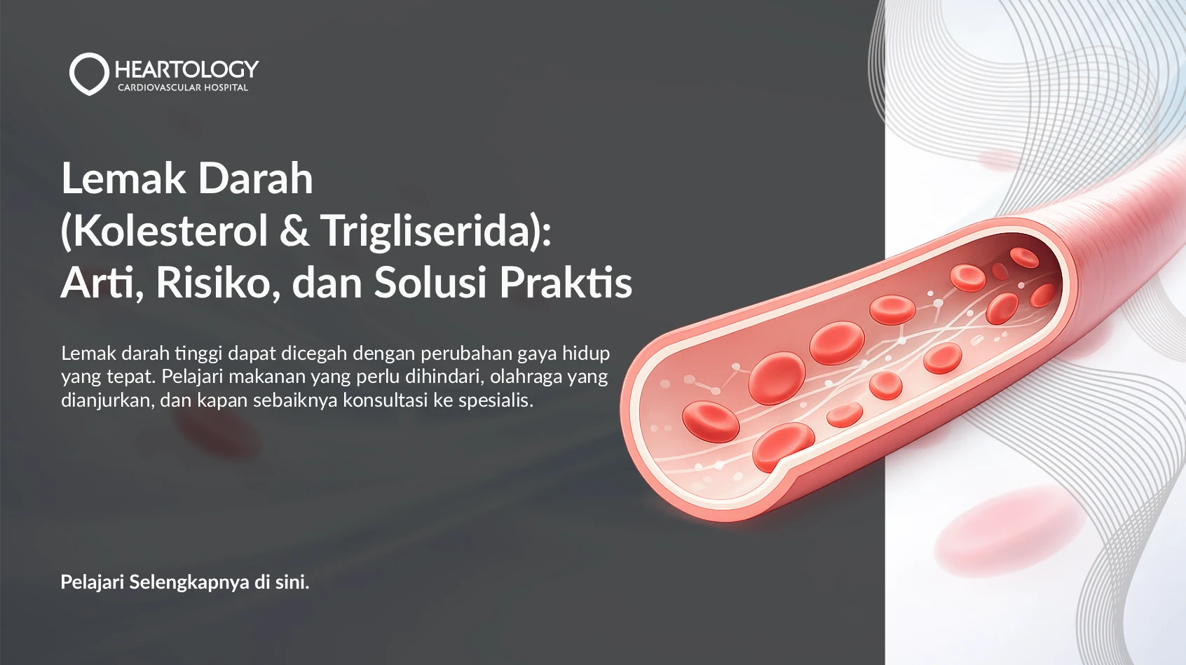 Lemak Darah (Kolesterol & Trigliserida): Arti, Risiko, dan Solusi Praktis