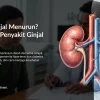 Penyakit Ginjal Kronis: Gejala, Tes Ginjal, dan Pencegahan