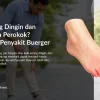 Kaki Sering Dingin dan Nyeri pada Perokok? Waspadai Penyakit Buerger