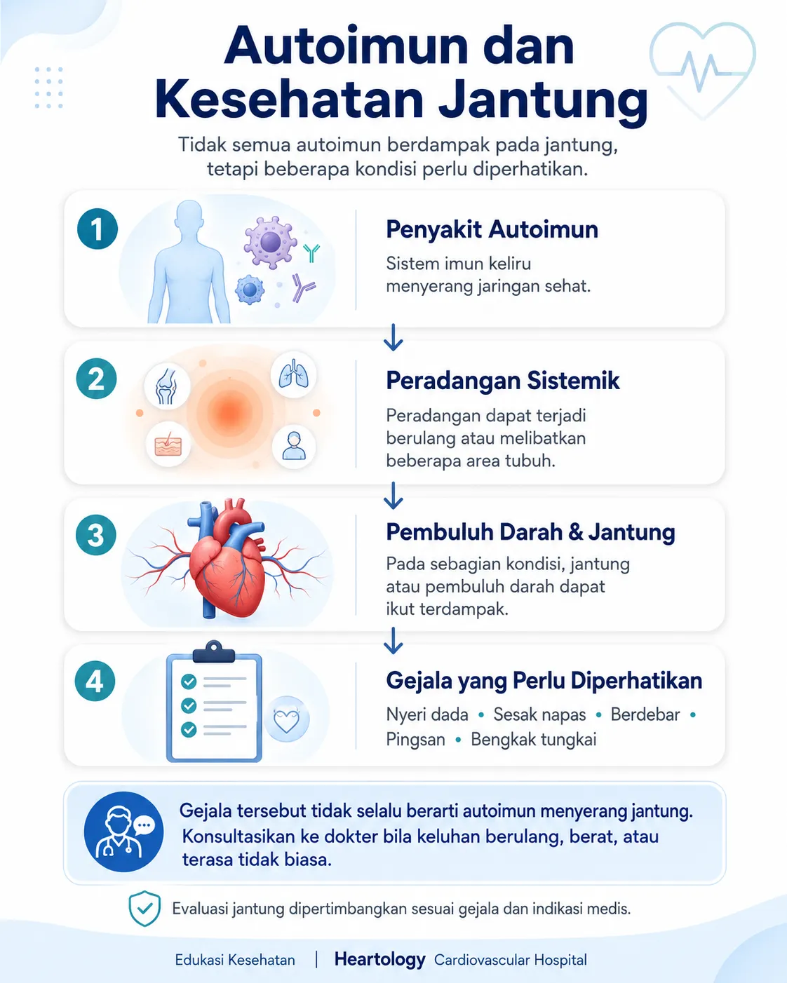 Infografis medis berbahasa Indonesia tentang autoimun dan kesehatan jantung, menampilkan alur penyakit autoimun, peradangan sistemik, dampaknya pada pembuluh darah dan jantung, serta gejala seperti nyeri dada, sesak napas, berdebar, pingsan, dan bengkak tungkai.