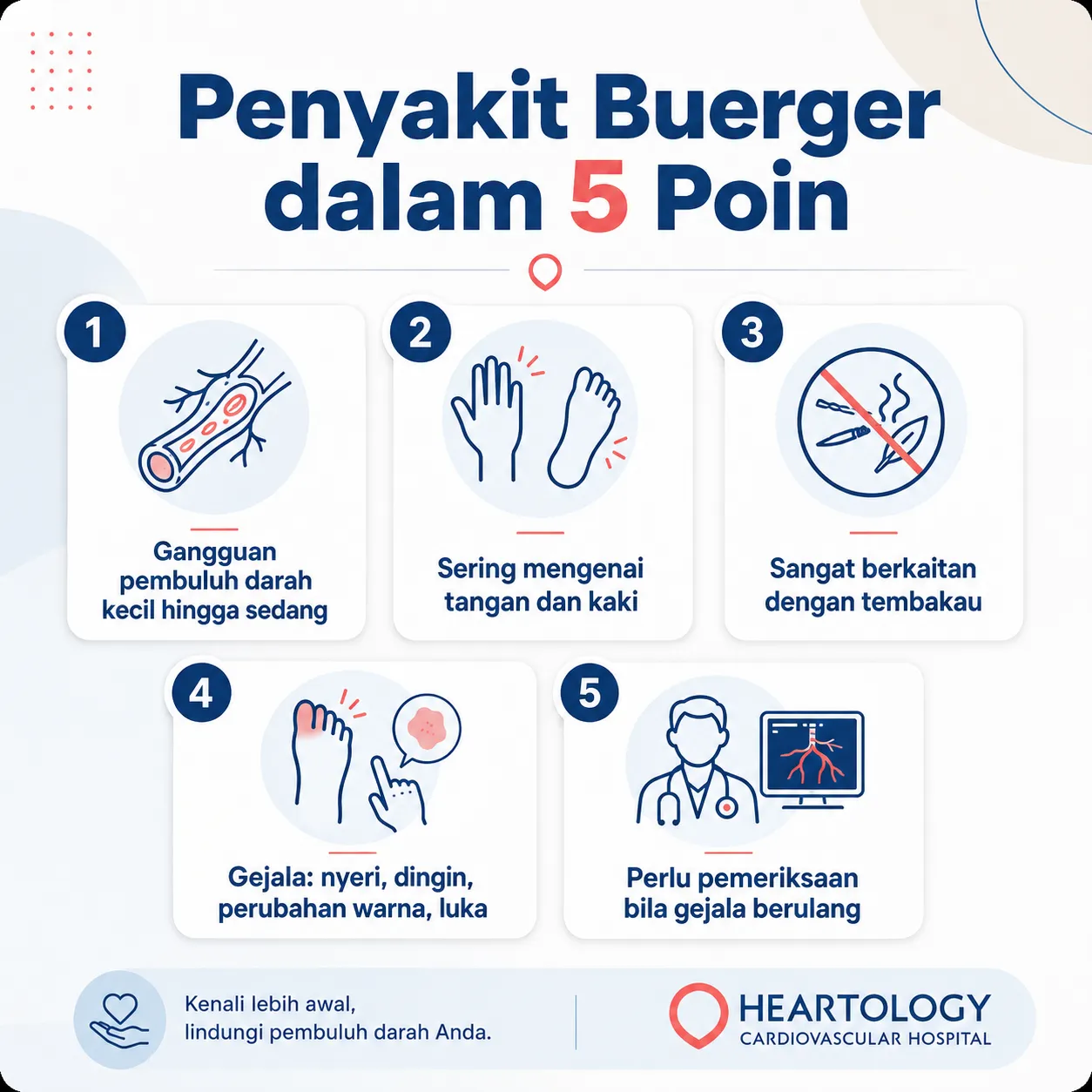 Infografis penyakit Buerger dalam 5 poin yang menjelaskan gangguan pembuluh darah kecil hingga sedang, sering mengenai tangan dan kaki, sangat berkaitan dengan tembakau, gejala seperti nyeri, dingin, perubahan warna dan luka, serta anjuran pemeriksaan bila gejala berulang.