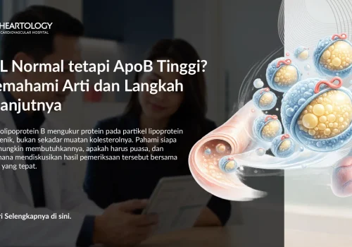 LDL Normal tetapi ApoB Tinggi? Memahami Arti dan Langkah Selanjutnya