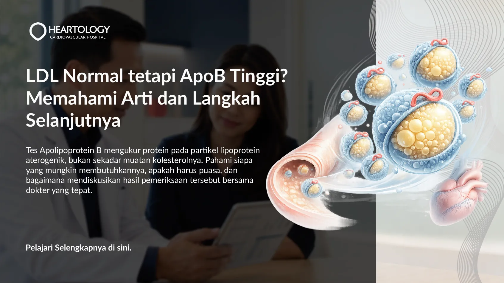 LDL Normal tetapi ApoB Tinggi? Memahami Arti dan Langkah Selanjutnya