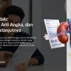 eGFR Rendah: Penyebab, Arti Angka, dan Langkah Selanjutnya
