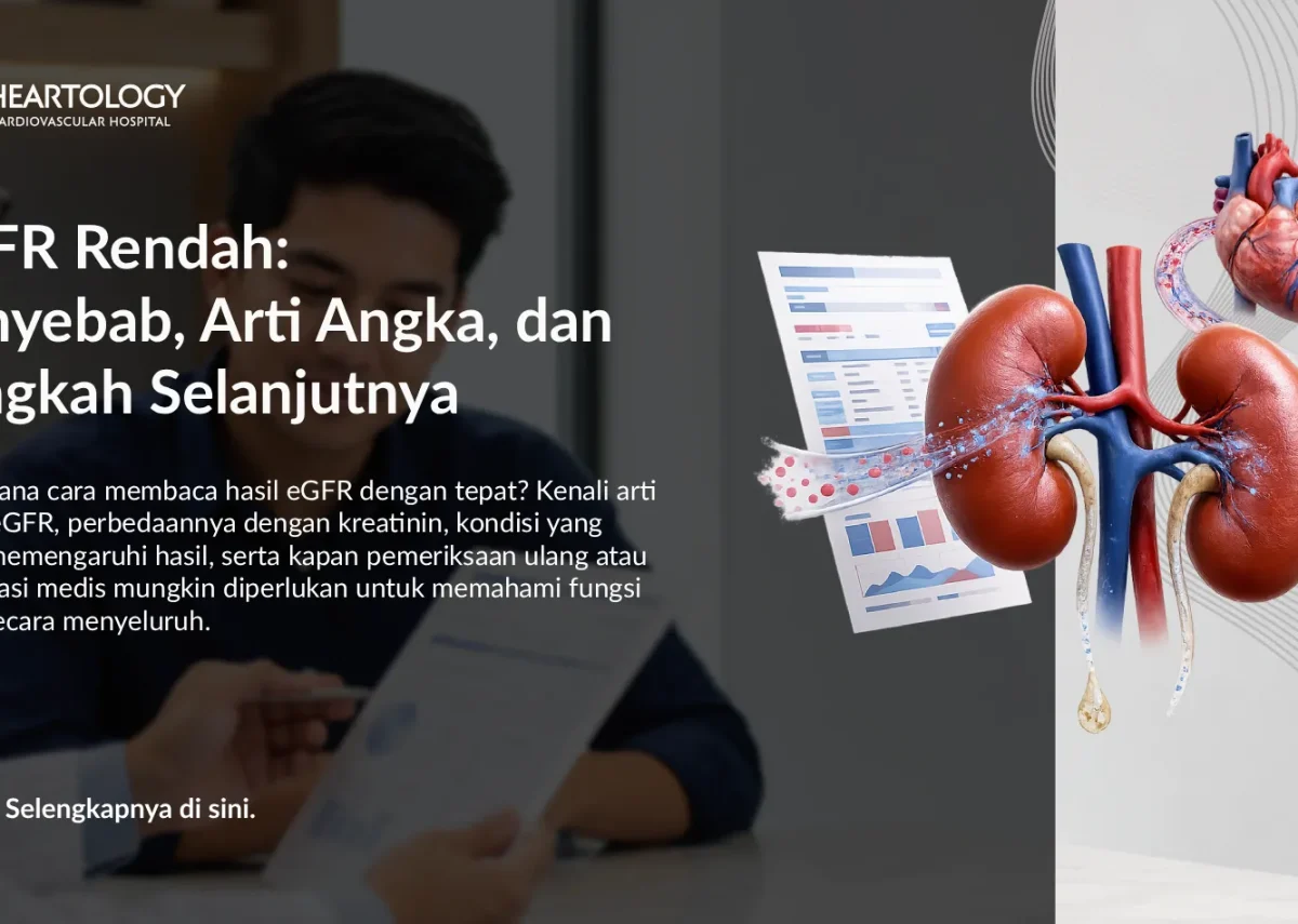 eGFR Rendah: Penyebab, Arti Angka, dan Langkah Selanjutnya