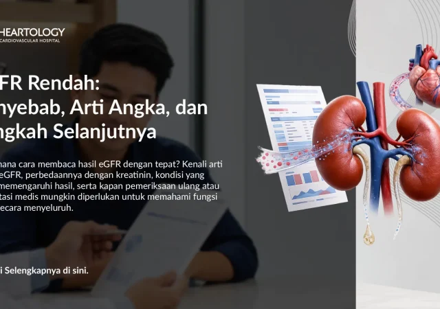 eGFR Rendah: Penyebab, Arti Angka, dan Langkah Selanjutnya