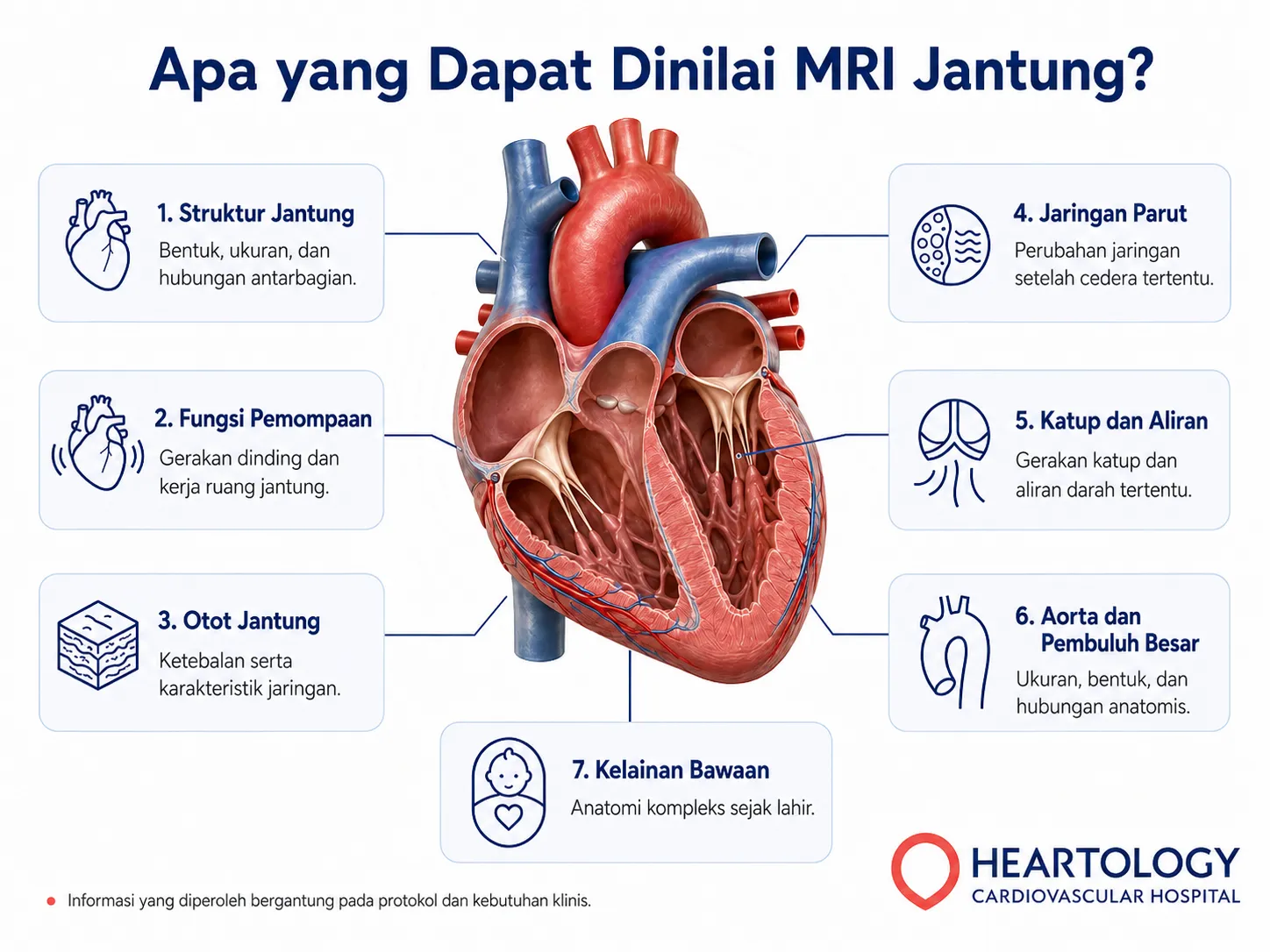 Infografik tentang apa yang dapat dinilai MRI jantung, meliputi struktur jantung, fungsi pemompaan, otot jantung, jaringan parut, katup dan aliran darah, aorta dan pembuluh besar, serta kelainan bawaan.