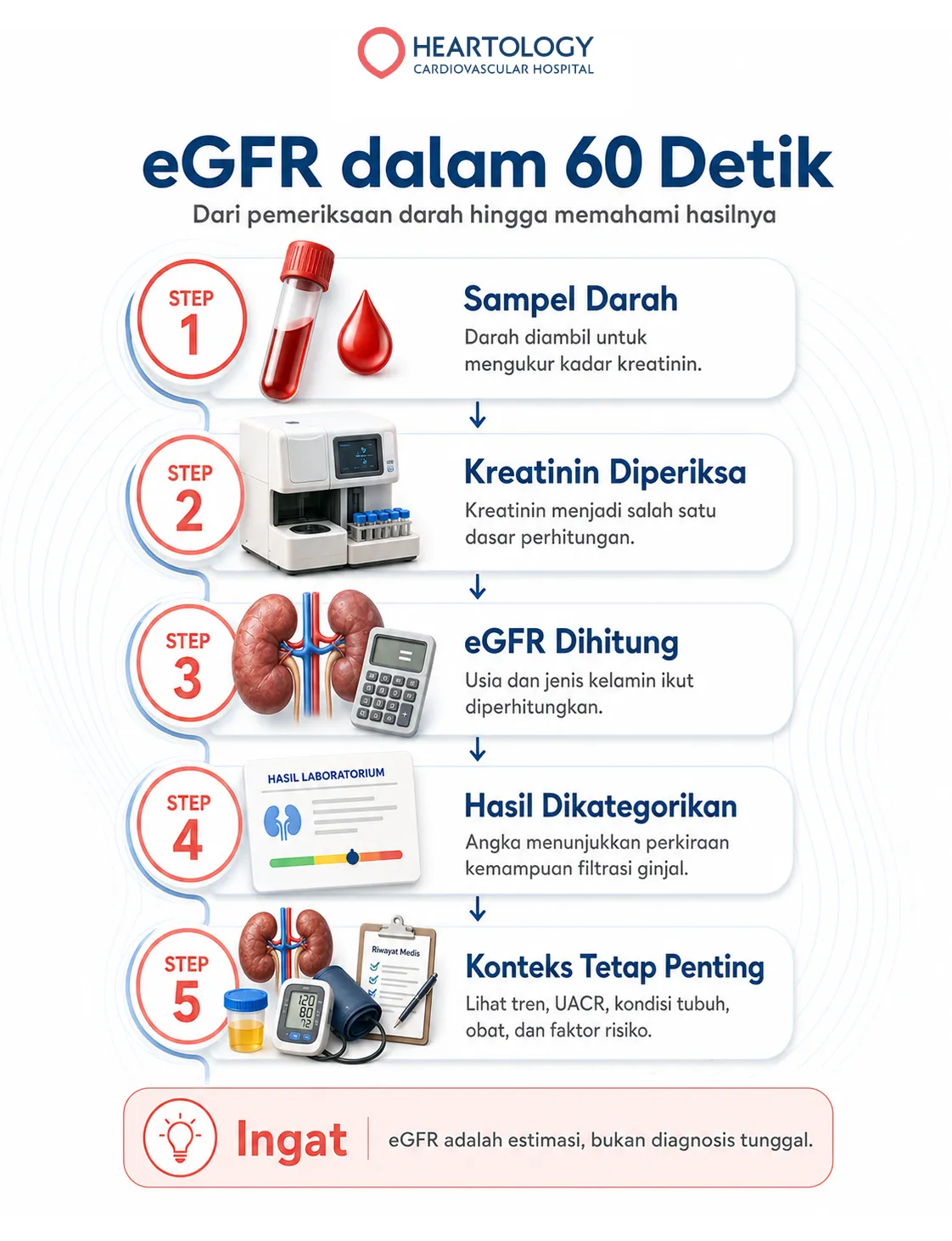 Infografik lima tahap pemeriksaan eGFR, meliputi pengambilan sampel darah, pemeriksaan kreatinin, perhitungan eGFR, pengategorian hasil, dan penilaian konteks klinis. 