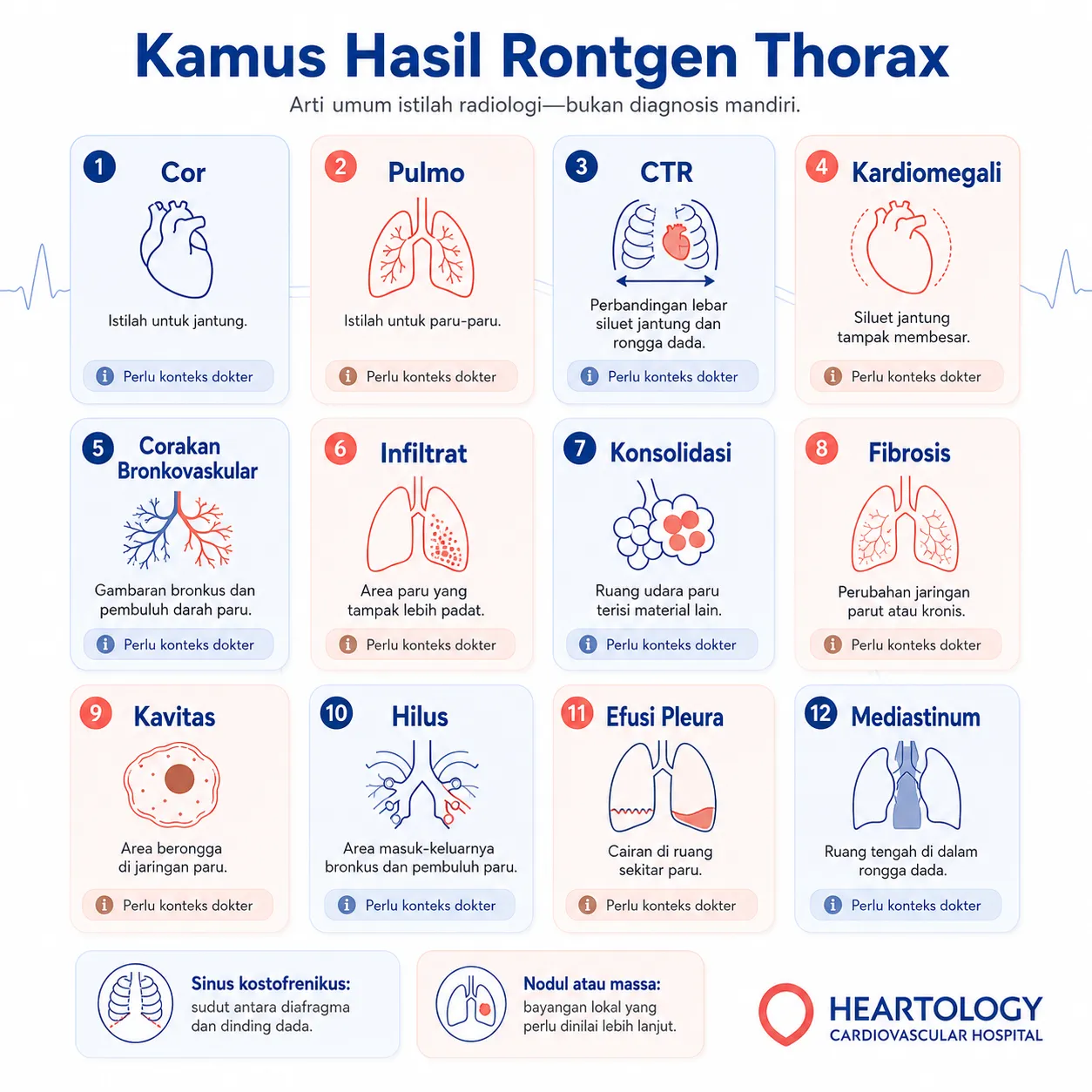 Infografik kamus istilah hasil rontgen thorax yang menjelaskan arti cor, pulmo, CTR, kardiomegali, corakan bronkovaskular, infiltrat, konsolidasi, fibrosis, kavitas, hilus, efusi pleura, dan mediastinum.