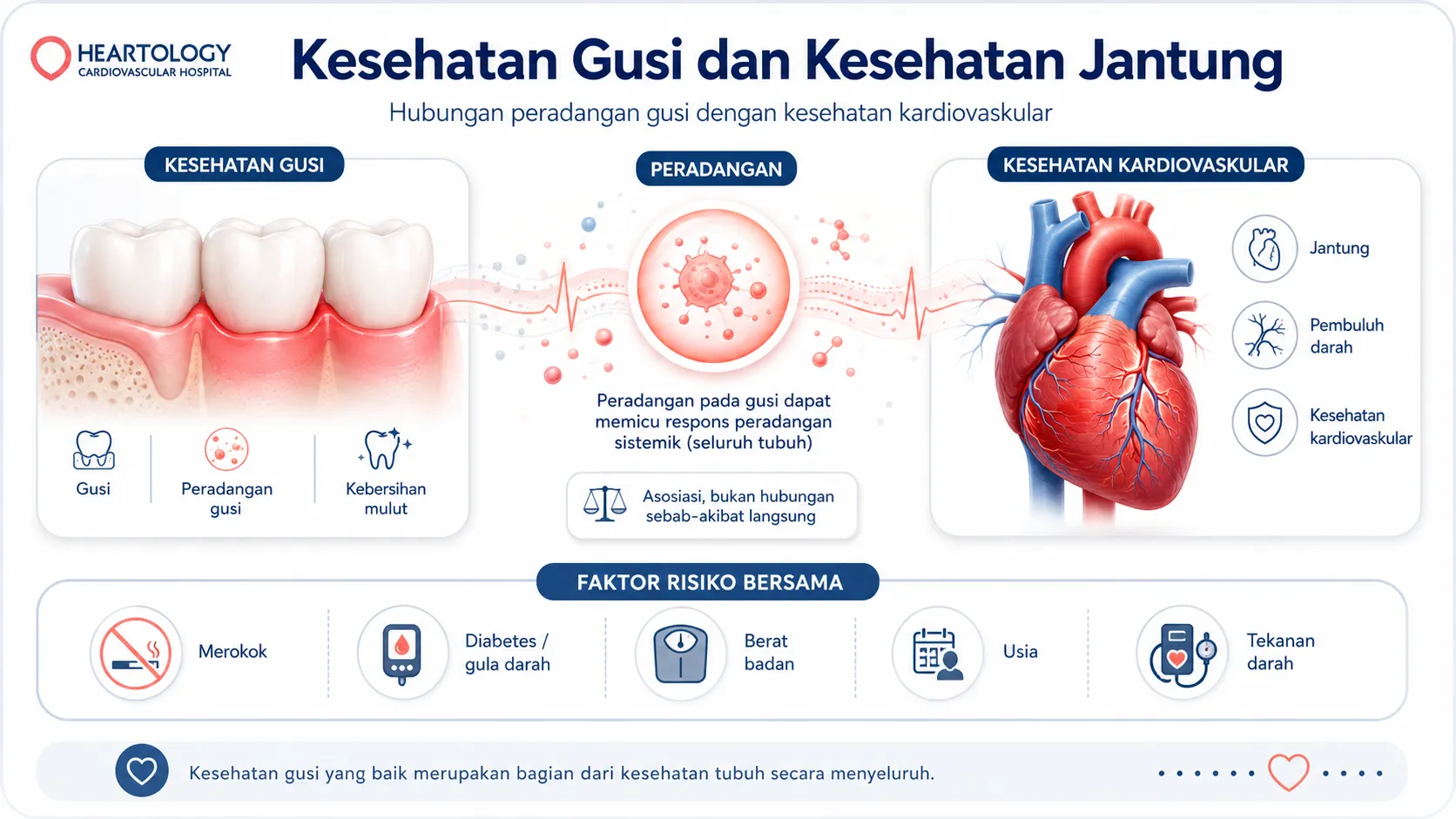 Infografis medis Heartology berjudul “Kesehatan Gusi dan Kesehatan Jantung” yang menunjukkan hubungan antara peradangan gusi, respons peradangan sistemik, kesehatan kardiovaskular, serta faktor risiko bersama seperti merokok, diabetes, berat badan, usia, dan tekanan darah.