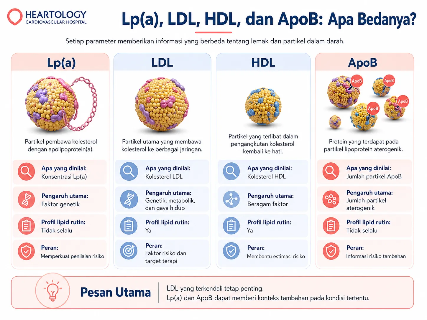 Infografik Heartology tentang perbedaan Lp(a), LDL, HDL, dan ApoB, termasuk definisi, parameter yang dinilai, pengaruh utama, profil lipid rutin, dan perannya dalam penilaian risiko kardiovaskular. 