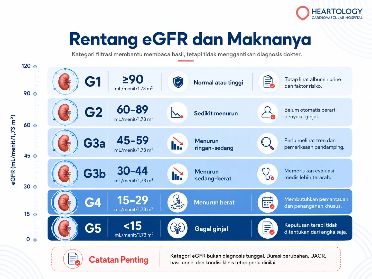 Infografik rentang eGFR kategori G1, G2, G3a, G3b, G4, dan G5 yang menjelaskan tingkat kemampuan filtrasi ginjal serta pentingnya menilai UACR, tren hasil, dan kondisi klinis. 