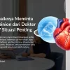 Kapan Sebaiknya Meminta Second Opinion dari Dokter Jantung? 7 Situasi Penting