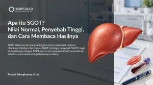 SGOT: Nilai Normal, Penyebab Tinggi, dan Cara Membaca Hasilnya