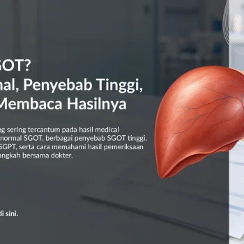 SGOT: Nilai Normal, Penyebab Tinggi, dan Cara Membaca Hasilnya