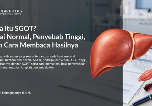 SGOT: Nilai Normal, Penyebab Tinggi, dan Cara Membaca Hasilnya