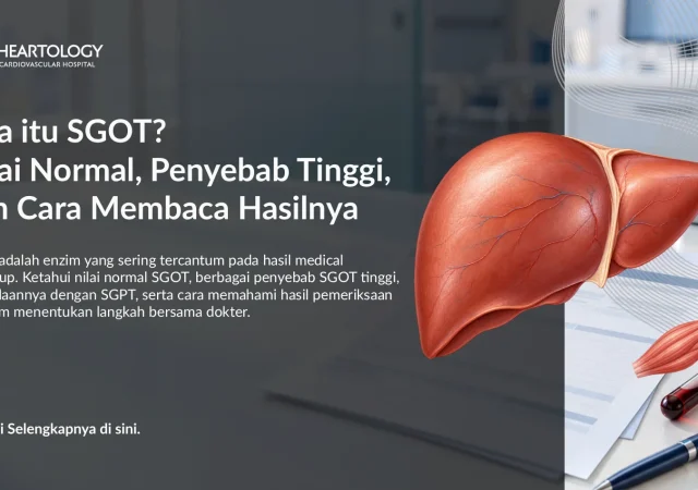 SGOT: Nilai Normal, Penyebab Tinggi, dan Cara Membaca Hasilnya