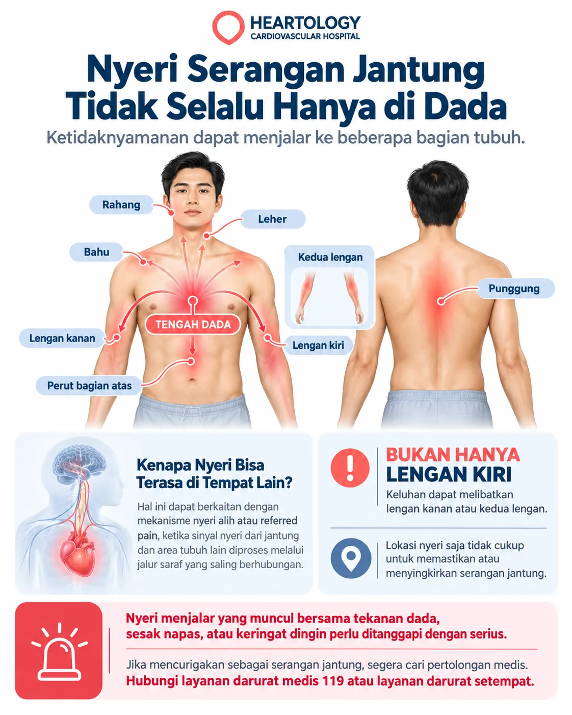 Infografik Heartology tentang lokasi nyeri serangan jantung yang dapat menjalar dari tengah dada ke lengan kiri atau kanan, kedua lengan, bahu, leher, rahang, punggung, dan perut bagian atas, serta menekankan bahwa lokasi nyeri saja tidak dapat memastikan diagnosis.