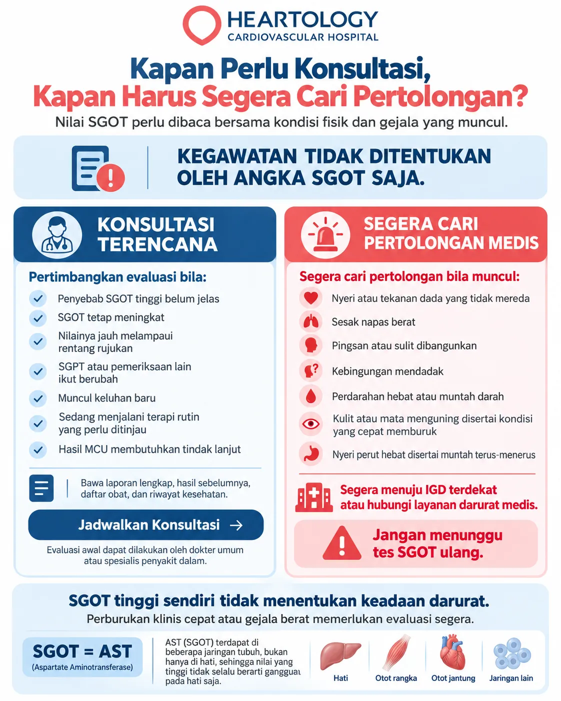 Infografik Heartology tentang SGOT atau AST tinggi yang membedakan kondisi untuk konsultasi terencana dan tanda bahaya yang memerlukan pertolongan medis segera, seperti nyeri dada, sesak napas berat, pingsan, kebingungan mendadak, muntah darah, mata menguning disertai perburukan, atau nyeri perut hebat dengan muntah terus-menerus.
