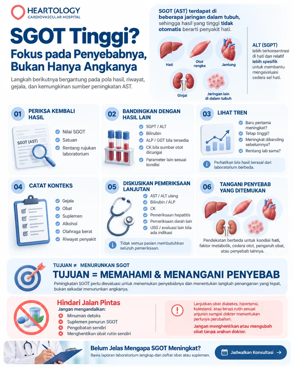 Infografik Heartology tentang langkah yang perlu dilakukan saat SGOT atau AST tinggi, termasuk memeriksa nilai dan rentang rujukan, membandingkan SGPT, bilirubin, ALP, GGT, dan CK, melihat tren hasil, mencatat gejala, obat, suplemen, alkohol, olahraga berat, serta mendiskusikan pemeriksaan lanjutan dengan dokter.