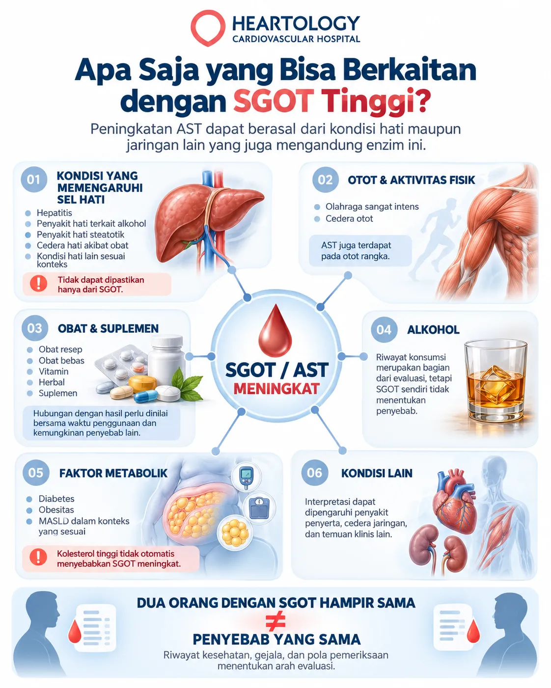 Infografik medis Heartology tentang SGOT atau AST tinggi yang menampilkan berbagai kemungkinan konteks, seperti kondisi hati, olahraga intens dan cedera otot, obat dan suplemen, konsumsi alkohol, faktor metabolik, serta kondisi lain, dengan penekanan bahwa penyebab tidak dapat ditentukan dari SGOT saja. 