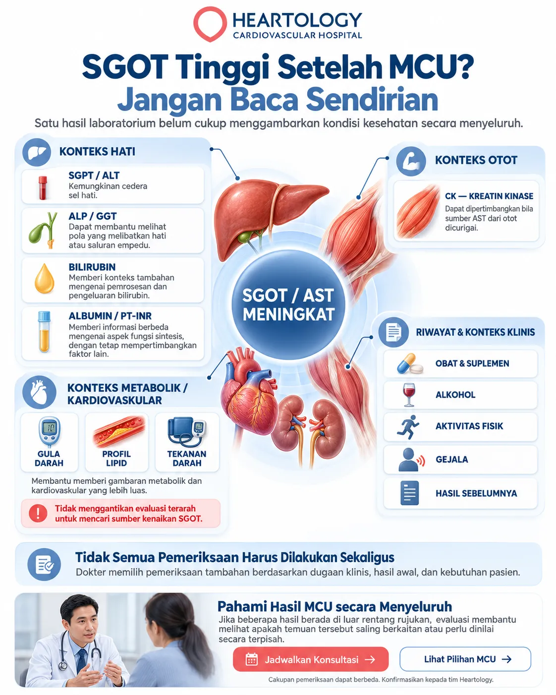Infografik Heartology tentang SGOT atau AST tinggi setelah MCU yang menampilkan konteks hati, otot, metabolik dan kardiovaskular, serta riwayat obat, alkohol, aktivitas fisik, gejala, dan hasil sebelumnya untuk membantu interpretasi secara menyeluruh. 