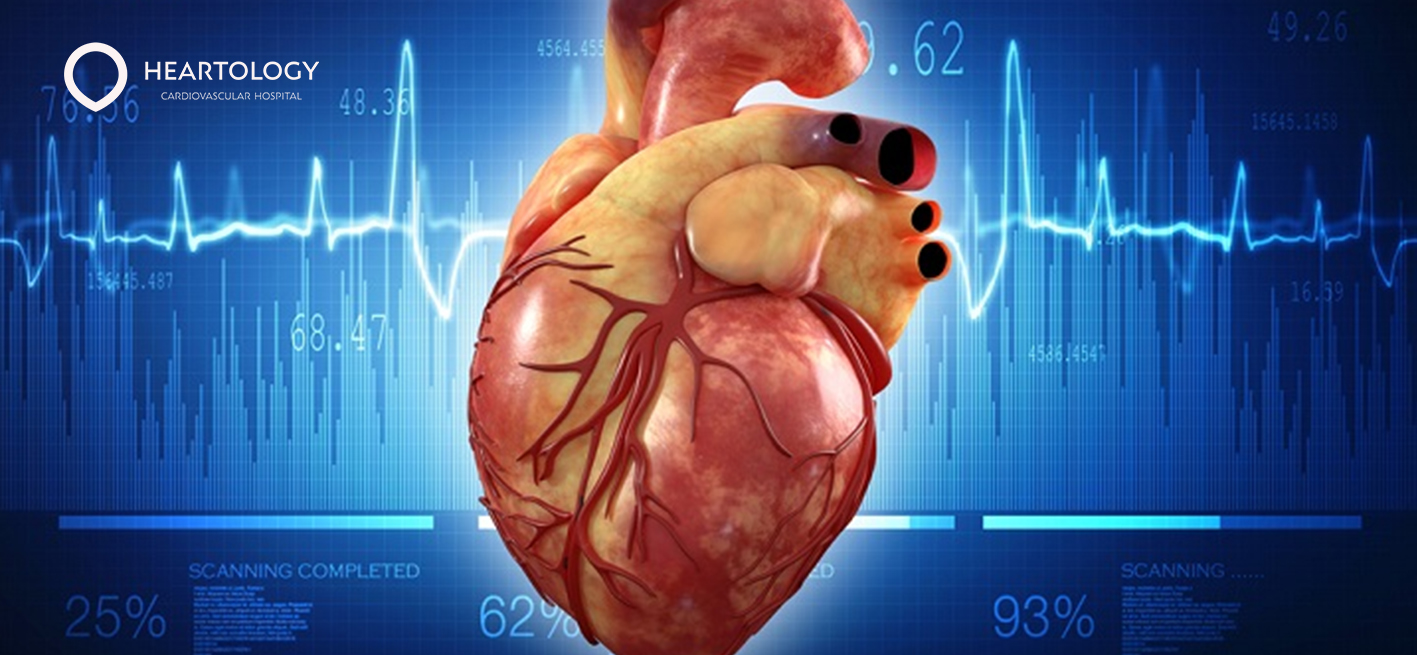 Otot Jantung Peran Vital dalam Kesehatan